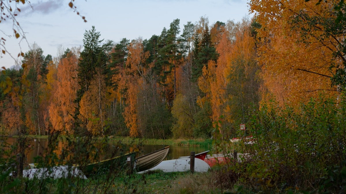 boats resting by the tranquil lakeside